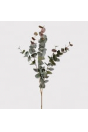 Large Eucalyptus Spray