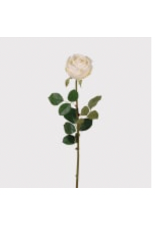White Rose Vienna with Leaves