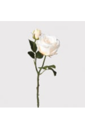 Pale Peach Vendela Rose Spray with Leaves