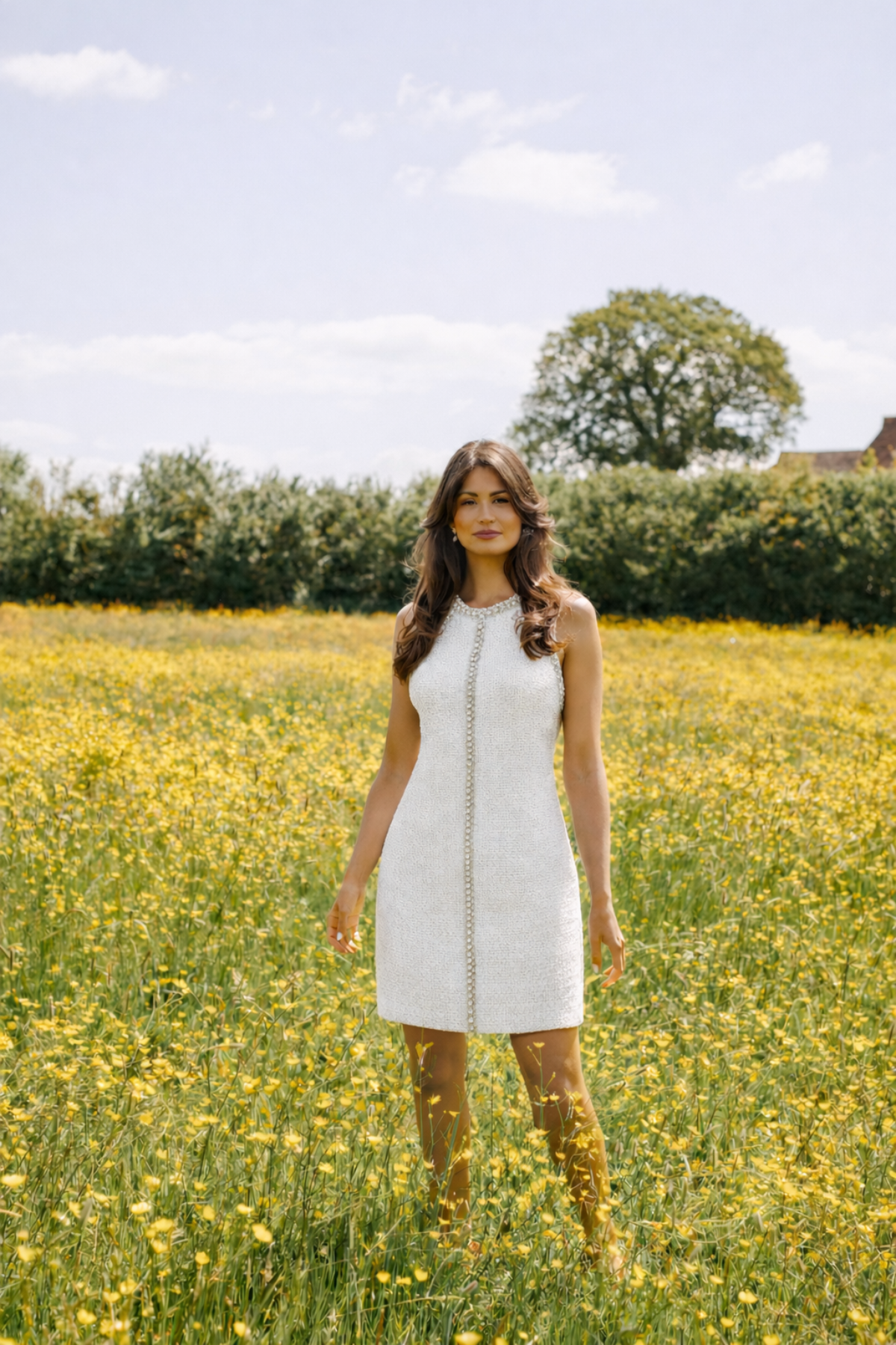 Anabelle Ivory Embellished Dress