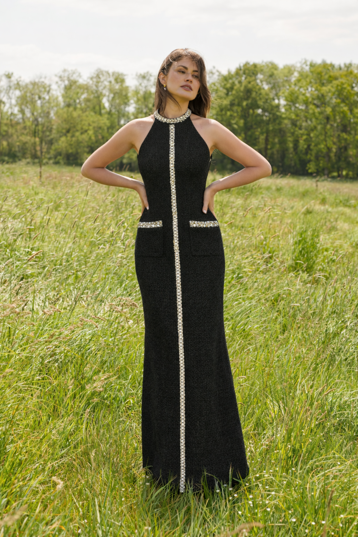 Alina Black Embellished Dress