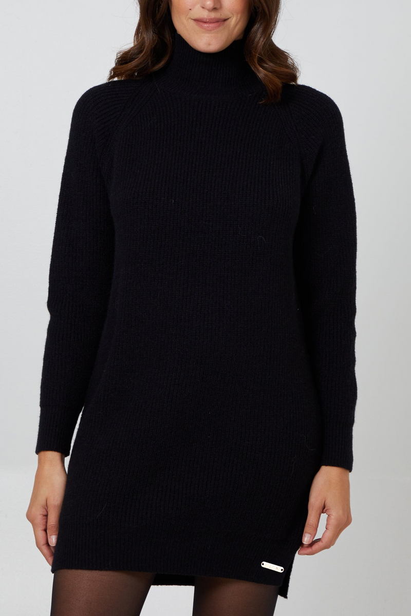 Banbury Turtle Neck Jumper Dress Black