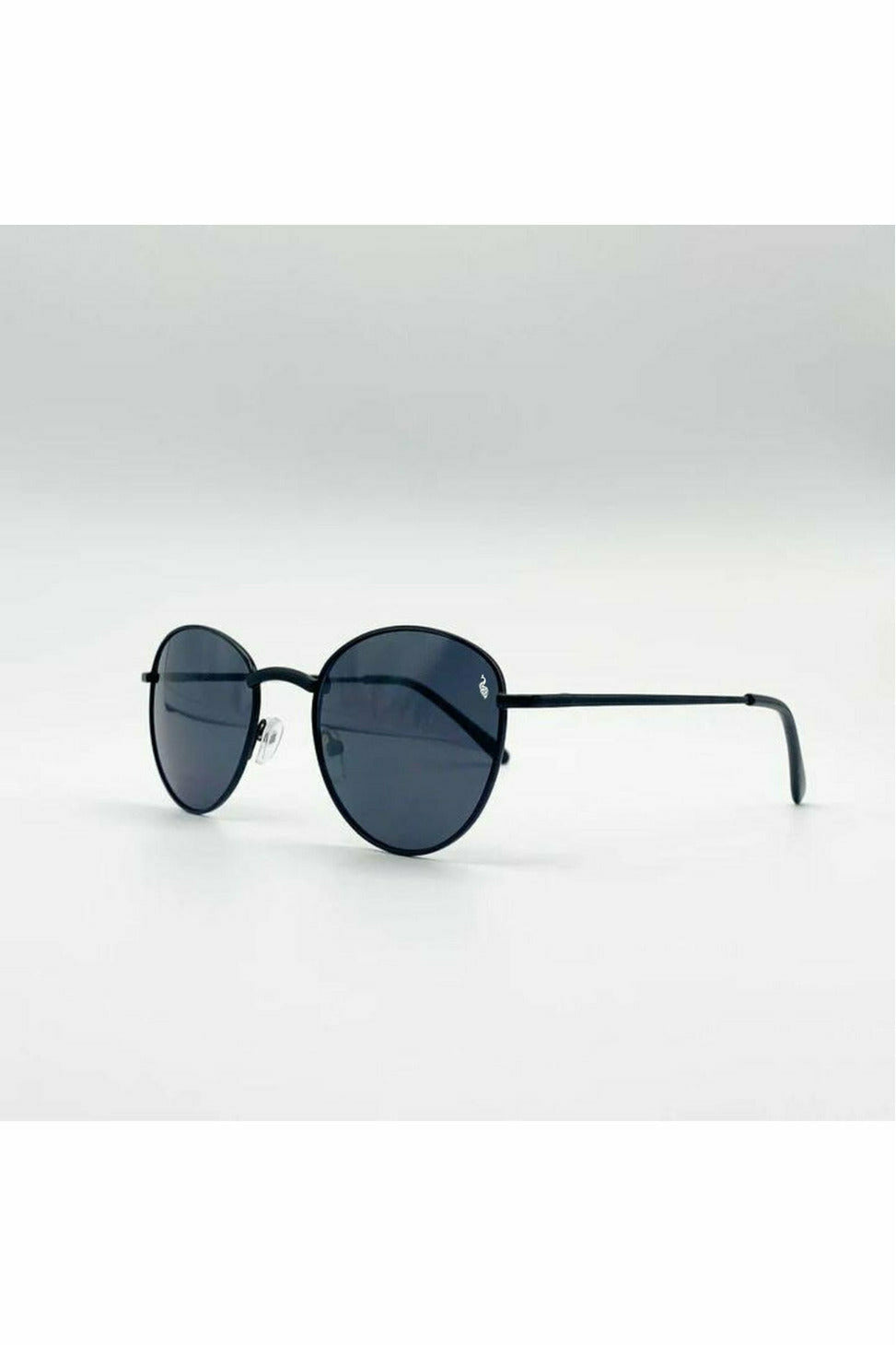 The Brighton Sunglasses Black