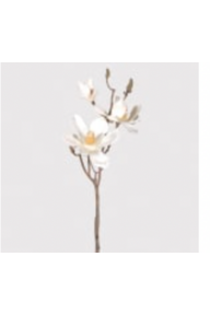 Cream Magnolia Branch Spray