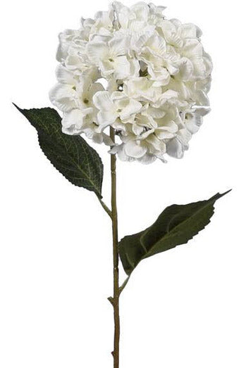 White Hydrangea